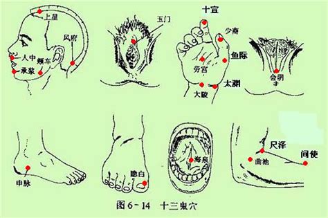 十三鬼穴位置|图文详解“十三鬼穴”